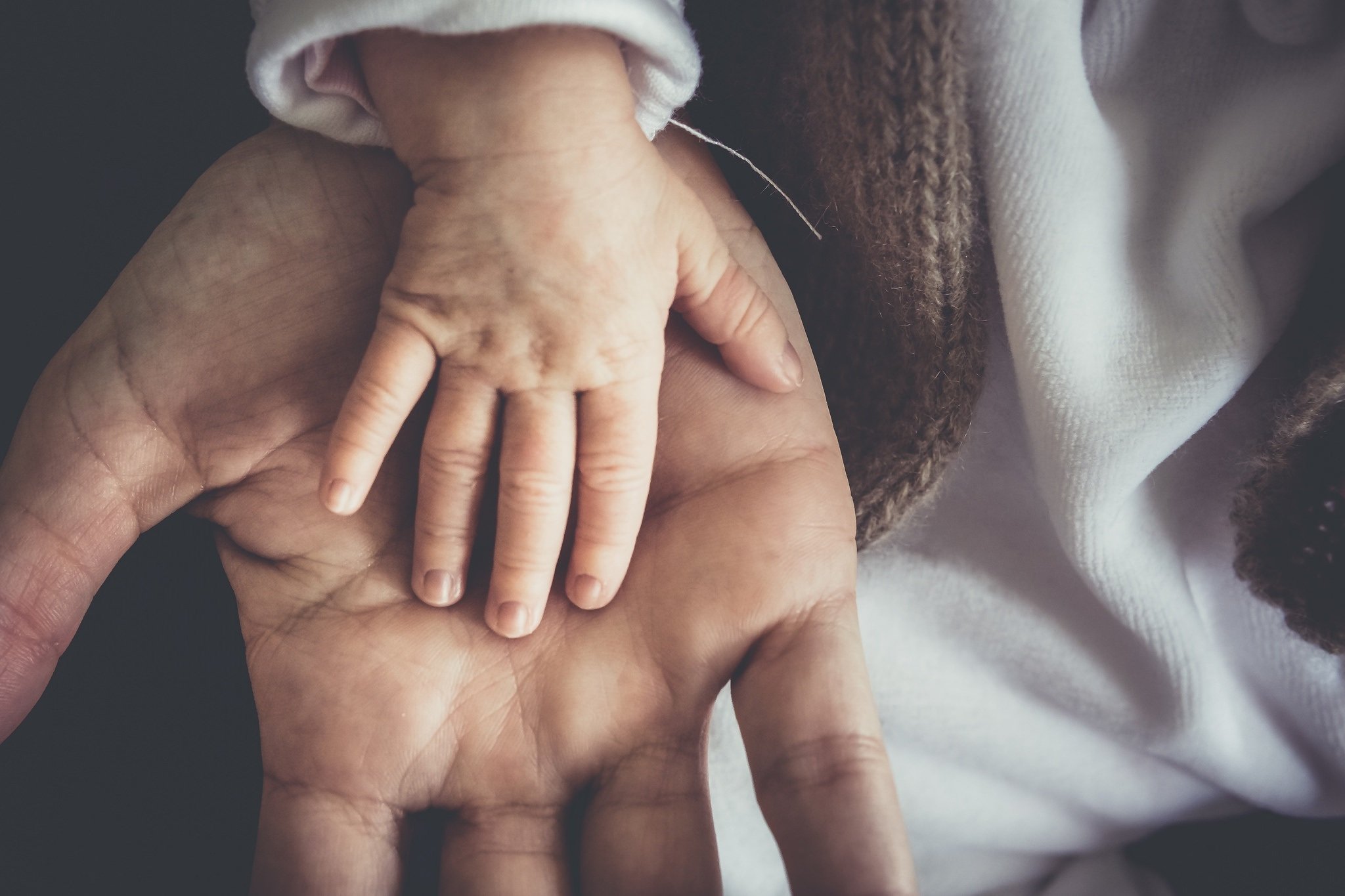 Single parent dating and family compatibility