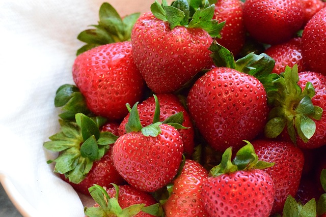 Vegan dating and plant-based relationship compatibility